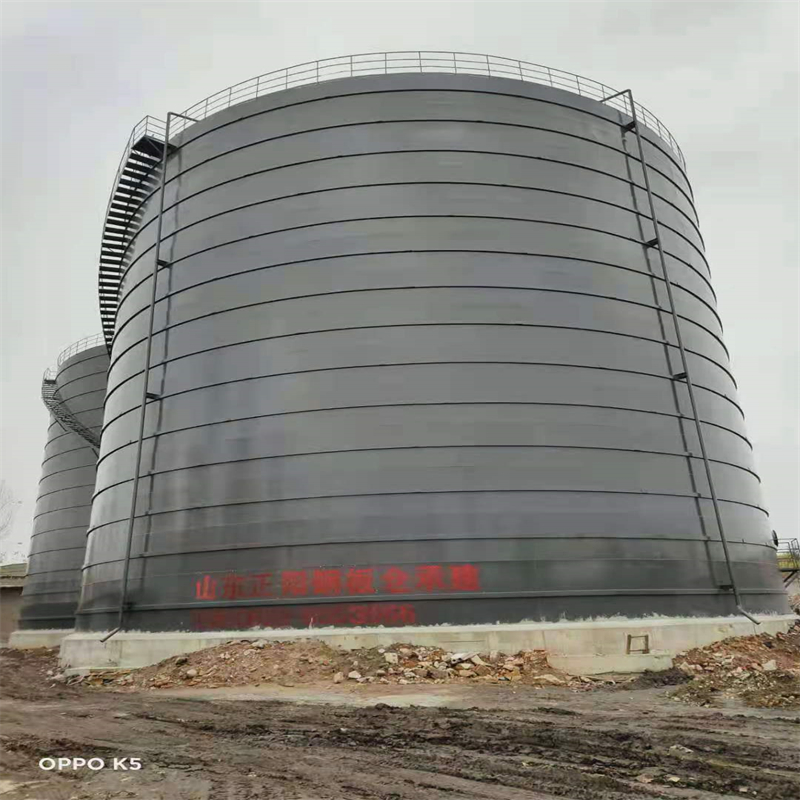 察隅3万吨大型钢板库