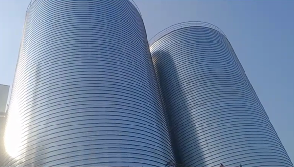 察隅2座混凝土高架卷板仓