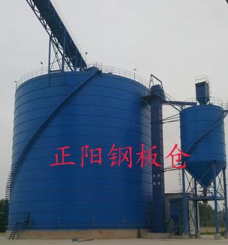 察隅大型矿粉钢板库